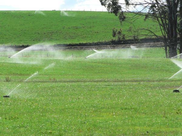 K-Line irrigation on farm